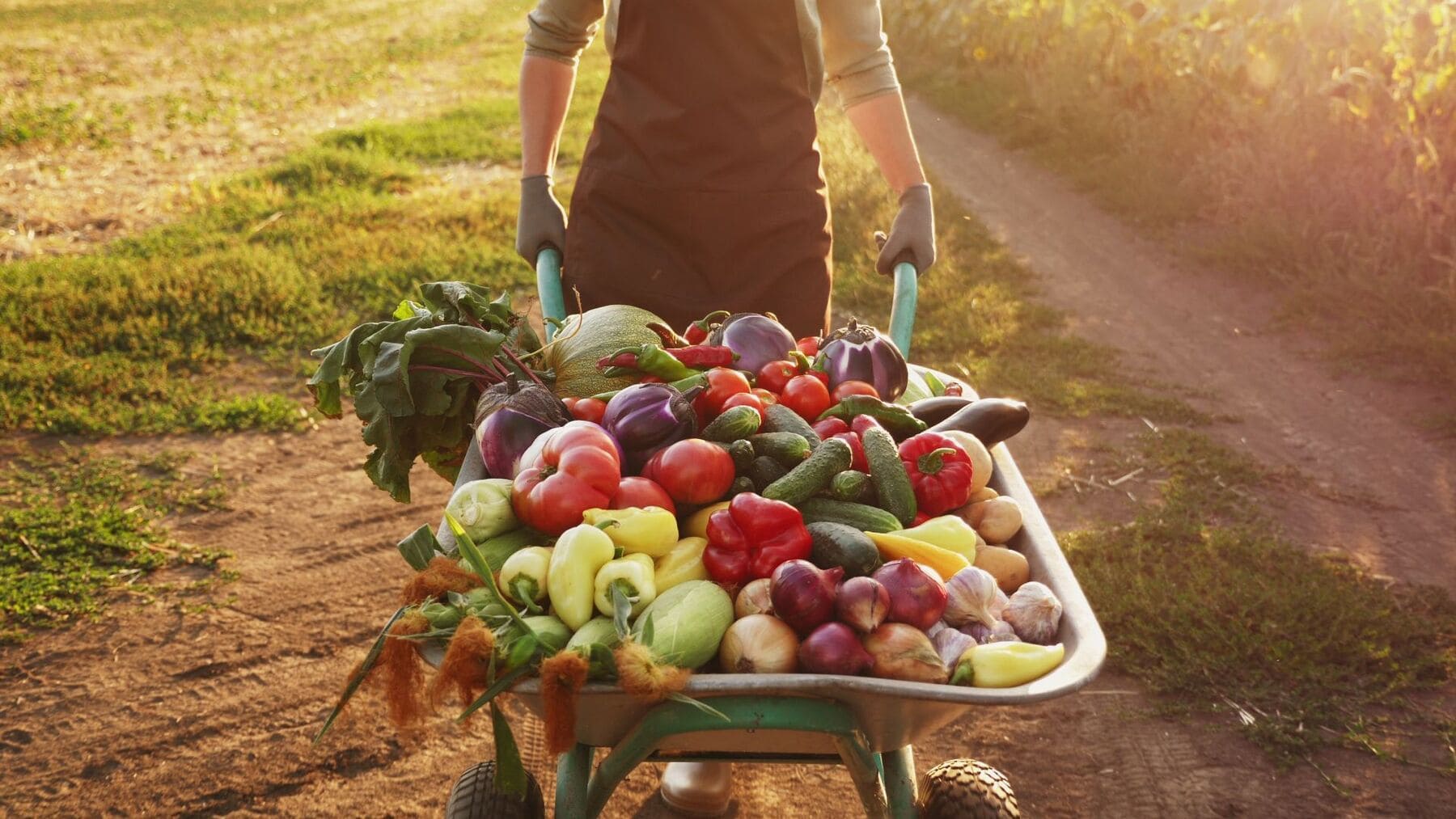 La agricultura ecológica gana fuerza ante la crisis de los fertilizantes sintéticos