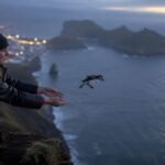 La extraña escena en los acantilados de Islandia: lanzan al vacío a aves en peligro de extinción y los biólogos aplauden