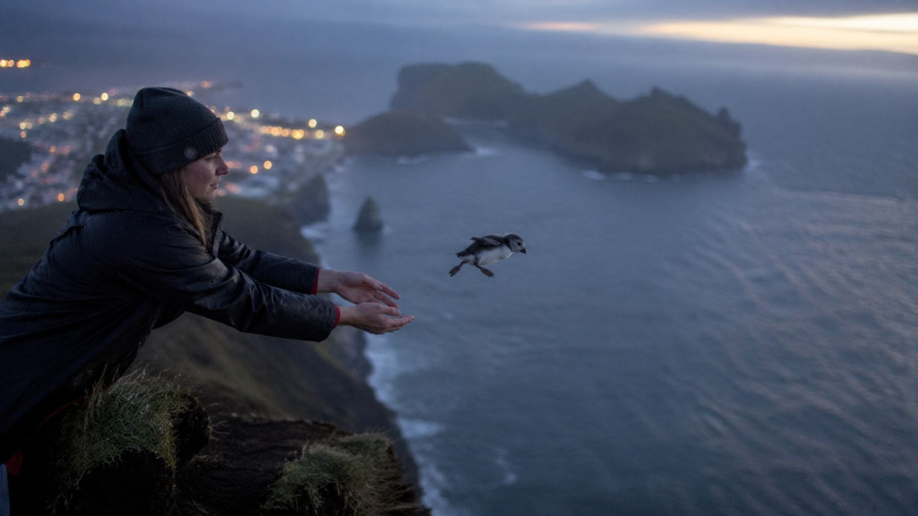 La extraña escena en los acantilados de Islandia: lanzan al vacío a aves en peligro de extinción y los biólogos aplauden