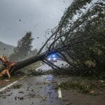 La madera acumulada en los bosques municipales del Ripollès triplica la extraída en todo un año: por qué preocupa a los técnicos