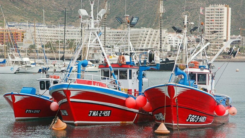 La pesca canaria contra la eólica marina en Europa por su impacto en el sector llega al Parlamento Europeo