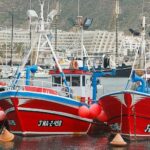 La pesca canaria contra la eólica marina en Europa por su impacto en el sector llega al Parlamento Europeo