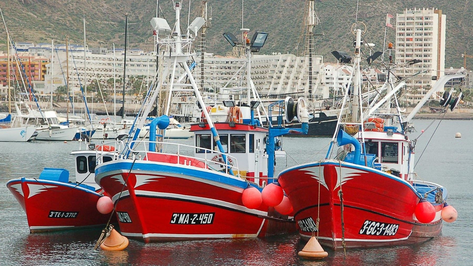 La pesca canaria contra la eólica marina en Europa por su impacto en el sector llega al Parlamento Europeo