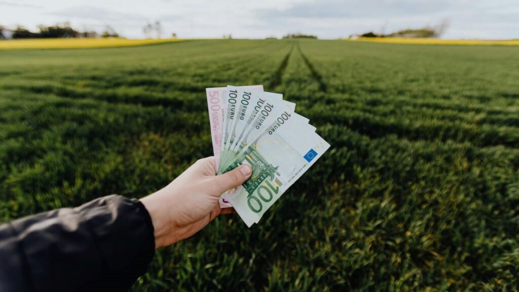 Las subastas del Banco Europeo del Hidrógeno en España convierten a nuestro país en una potencia europea del hidrógeno verde