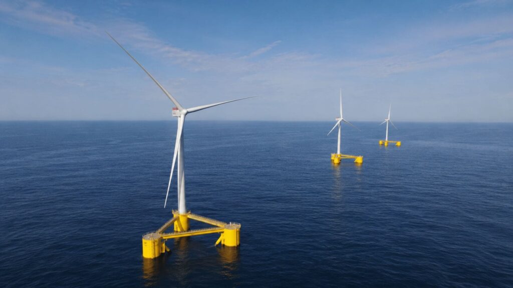 Los científicos desconcertados tras confirmar que la energía eólica flotante es capaz de regenerar los ecosistemas y favorecer la presencia de nuevas especies