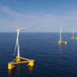 Los científicos desconcertados tras confirmar que la energía eólica flotante es capaz de regenerar los ecosistemas y favorecer la presencia de nuevas especies