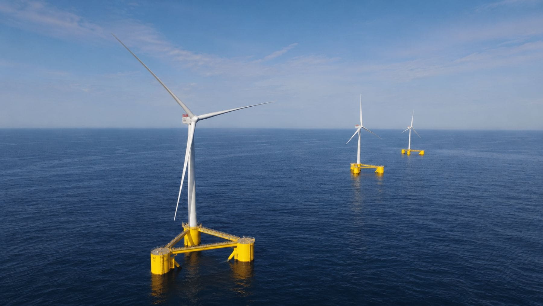 Los científicos desconcertados tras confirmar que la energía eólica flotante es capaz de regenerar los ecosistemas y favorecer la presencia de nuevas especies