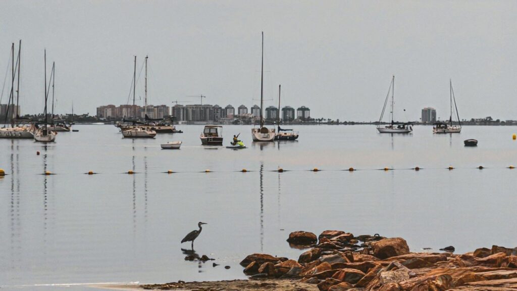 MITECO y universidades evaluarán la recuperación del Mar Menor con apoyo científico