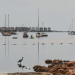 MITECO y universidades evaluarán la recuperación del Mar Menor con apoyo científico