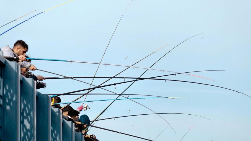 Organizaciones ecologistas recurren el campeonato de pesca de salmón en el Ulla por el declive de la especie