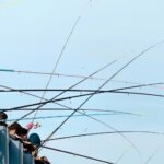 Organizaciones ecologistas recurren el campeonato de pesca de salmón en el Ulla por el declive de la especie