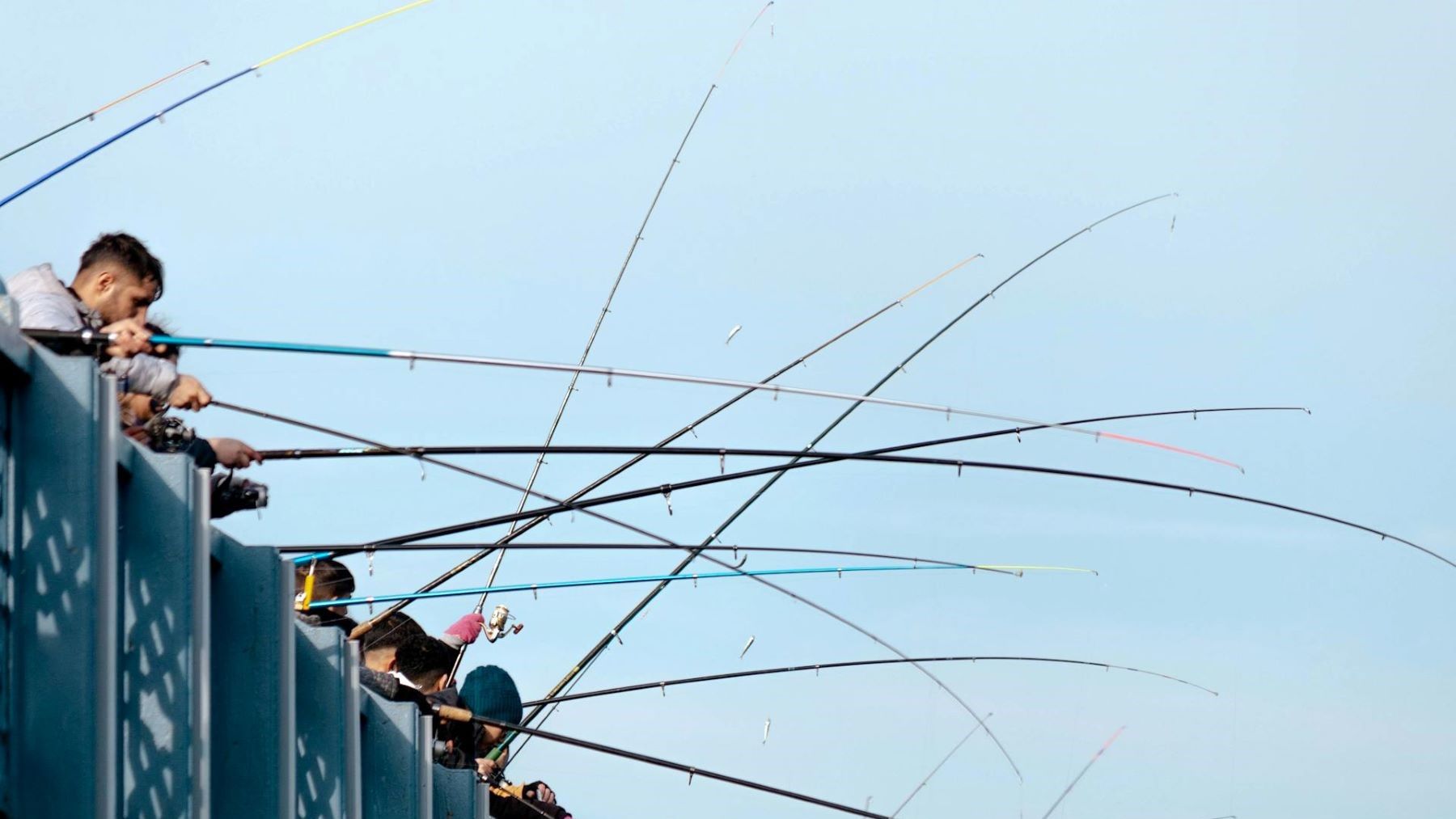 Organizaciones ecologistas recurren el campeonato de pesca de salmón en el Ulla por el declive de la especie