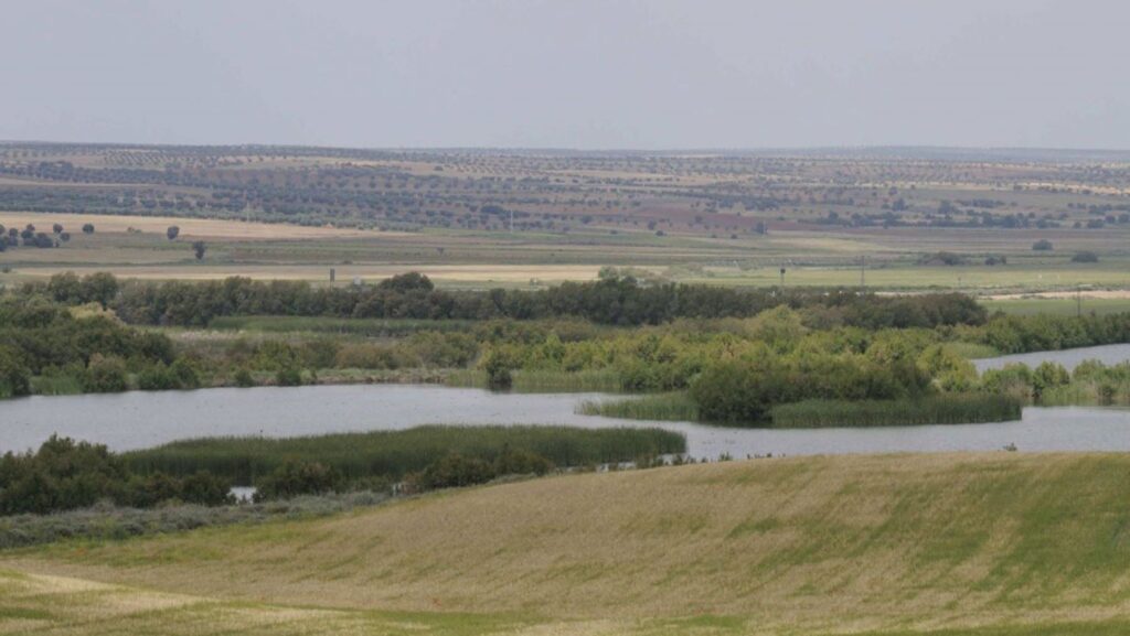 Plantas de biometano en Las Tablas de Daimiel: ecologistas alertan de una amenaza para el acuífero y los humedales