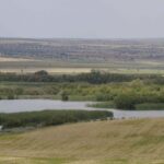 Plantas de biometano en Las Tablas de Daimiel: ecologistas alertan de una amenaza para el acuífero y los humedales