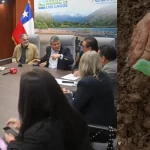 Proyecto impulsará transición hacia la economía regenerativa en Los Lagos