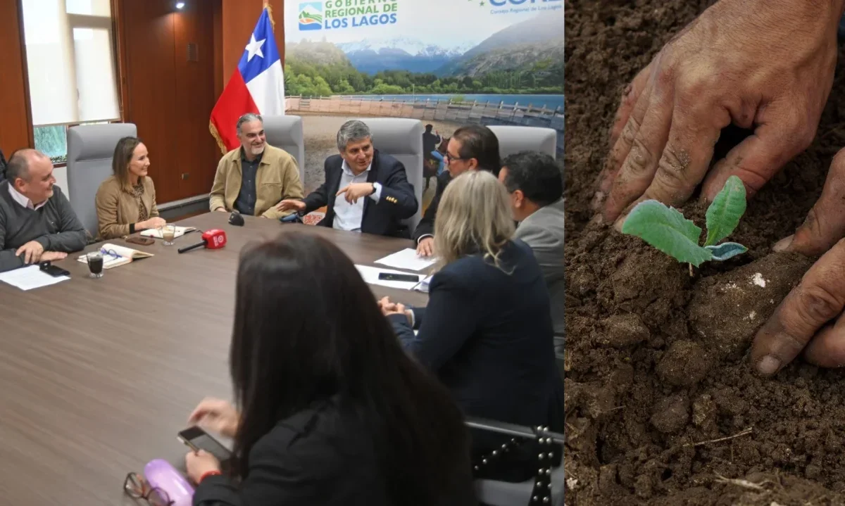Proyecto impulsará transición hacia la economía regenerativa en Los Lagos