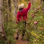 Regresa a Panguipulli el Encuentro Frutos del Bosque en la Reserva de la Biósfera