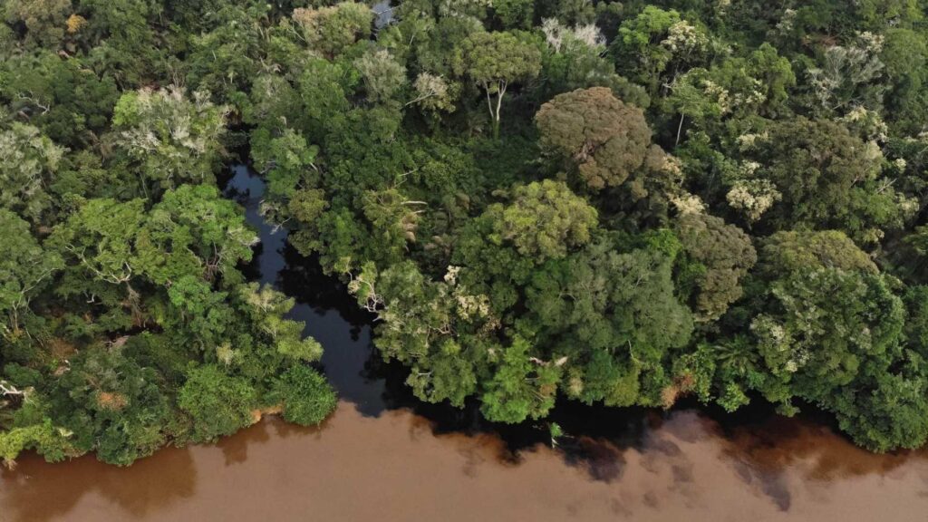 Una señal inquietante está alertando a los científicos de todo el mundo: varios ríos de África están liberando una cantidad ingente de CO₂ con edades de más de 3.000 años