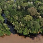 Una señal inquietante está alertando a los científicos de todo el mundo: varios ríos de África están liberando una cantidad ingente de CO₂ con edades de más de 3.000 años