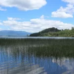 Vecinos impulsan campaña para declarar el Humedal Urbano Bahía Panguipulli