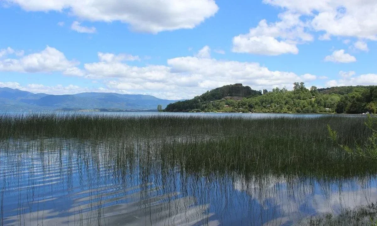 Vecinos impulsan campaña para declarar el Humedal Urbano Bahía Panguipulli
