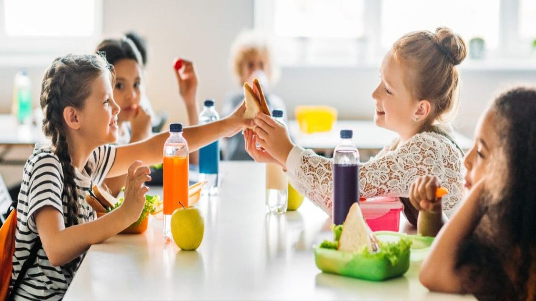 el programa escolar de consumo de frutas hortalizas y leche ecológicas enfrenta a Ecologistas en Acción con el Gobierno aragonés