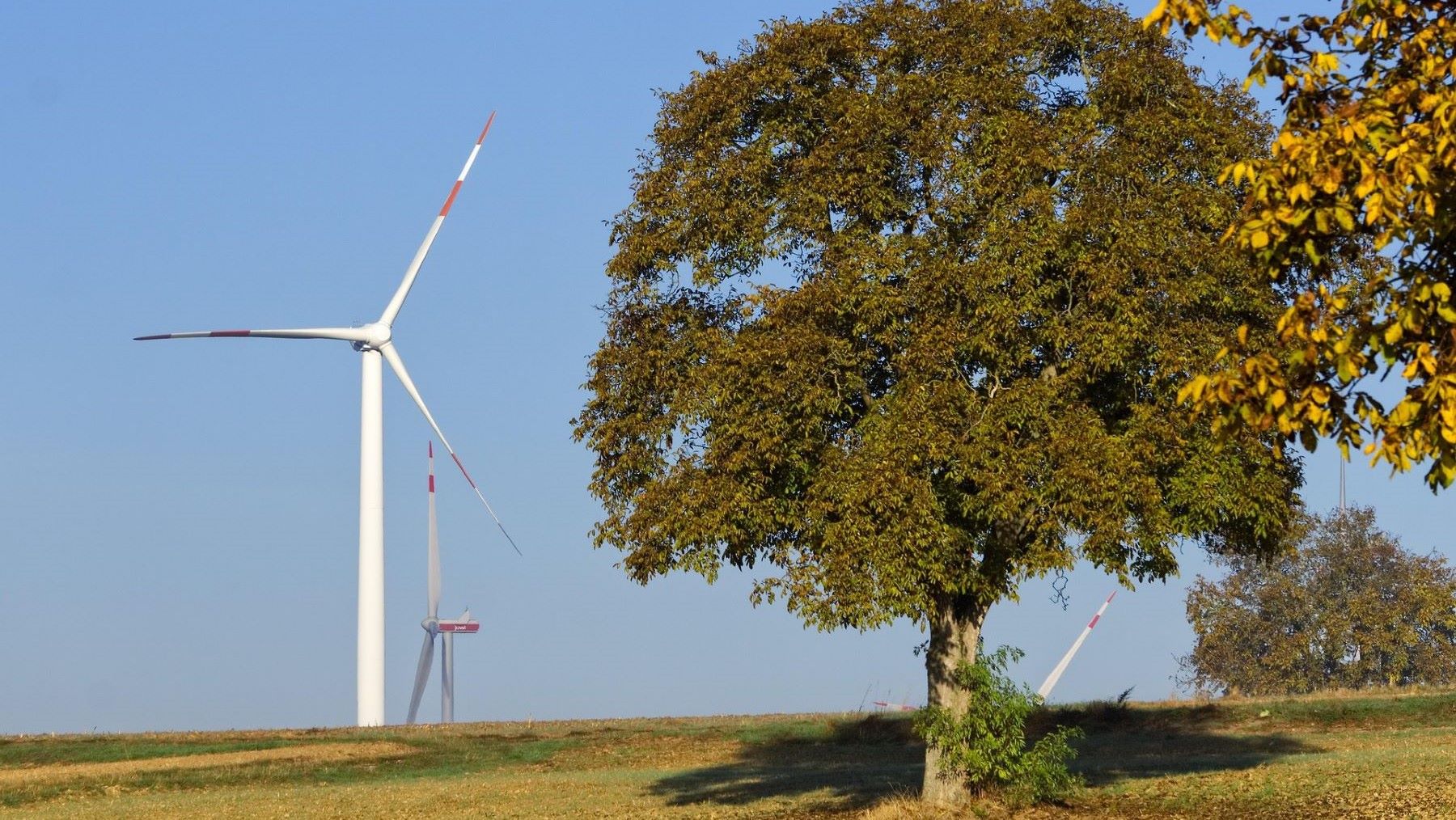 Aragón acelera la transición energética con más de 900 MW y nuevos empleos para revitalizar las comarcas mineras