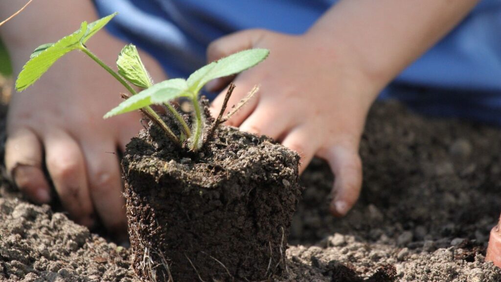 Catalunya impulsa que la agricultura ecológica entre en las aulas con ayudas récord para los colegios