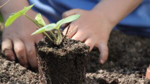 Catalunya impulsa que la agricultura ecológica entre en las aulas con ayudas récord para los colegios