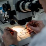 Científicos están recogiendo el esperma de más de 600 abejas en un intento por salvar la especie del ácaro varroa, un peligroso parásito que está acabando con estos insectos