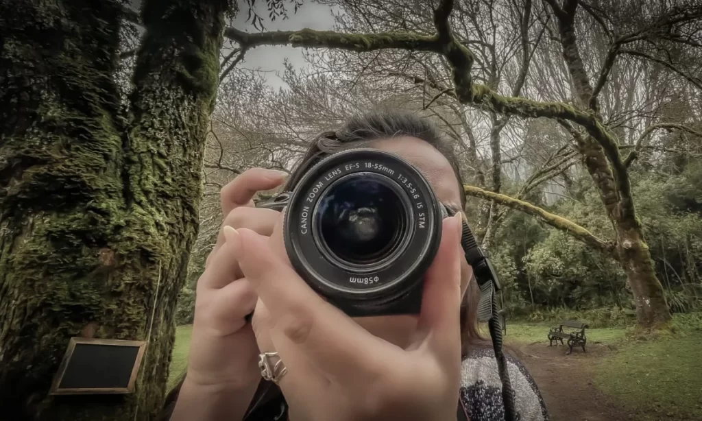 Concurso fotográfico invita a niños y jóvenes de Los Ríos a retratar el otoño