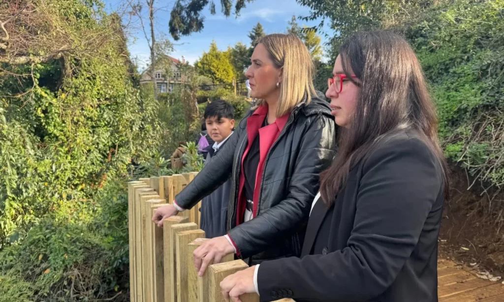 Destacan proyecto liderado por estudiantes que busca recuperar humedal en Puerto Varas