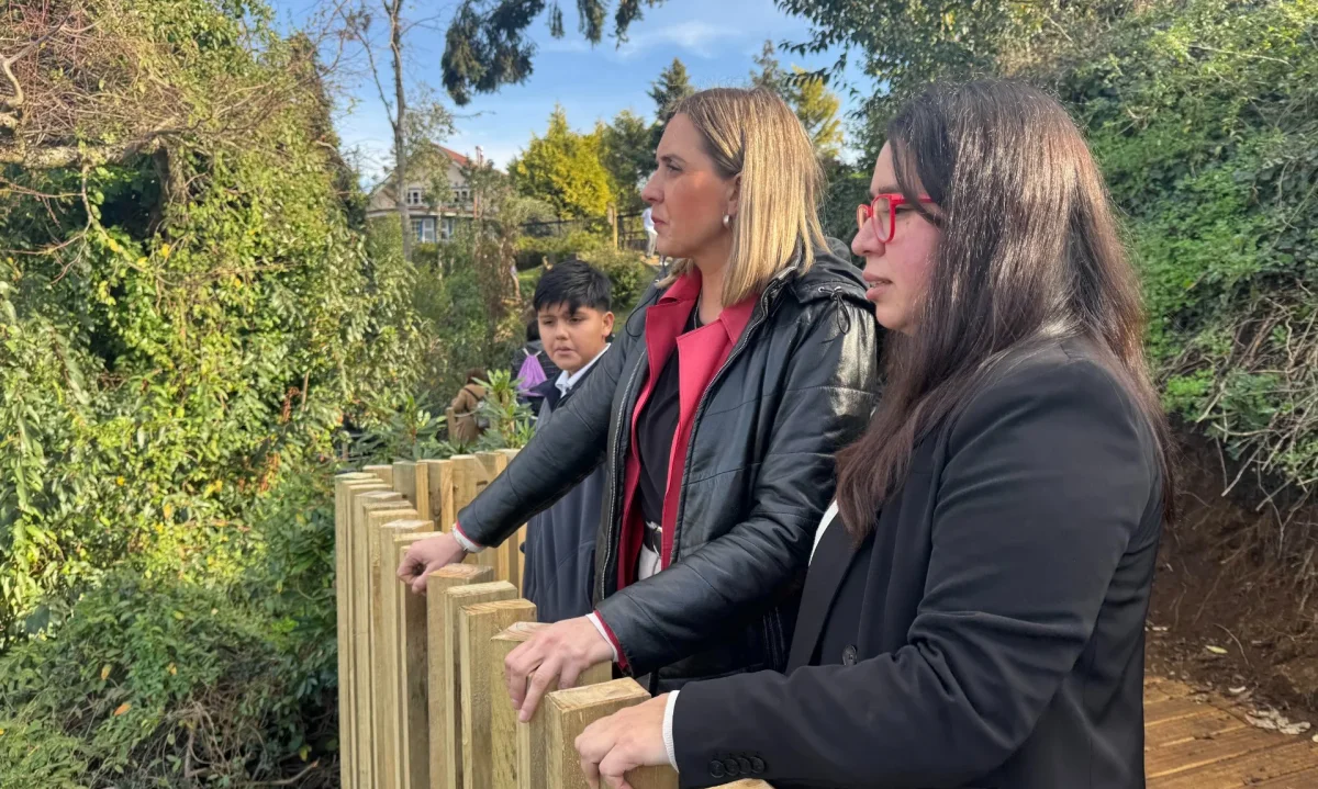 Destacan proyecto liderado por estudiantes que busca recuperar humedal en Puerto Varas