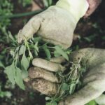 Europa pone en duda la agricultura regenerativa y alerta sobre posibles prácticas de greenwashing