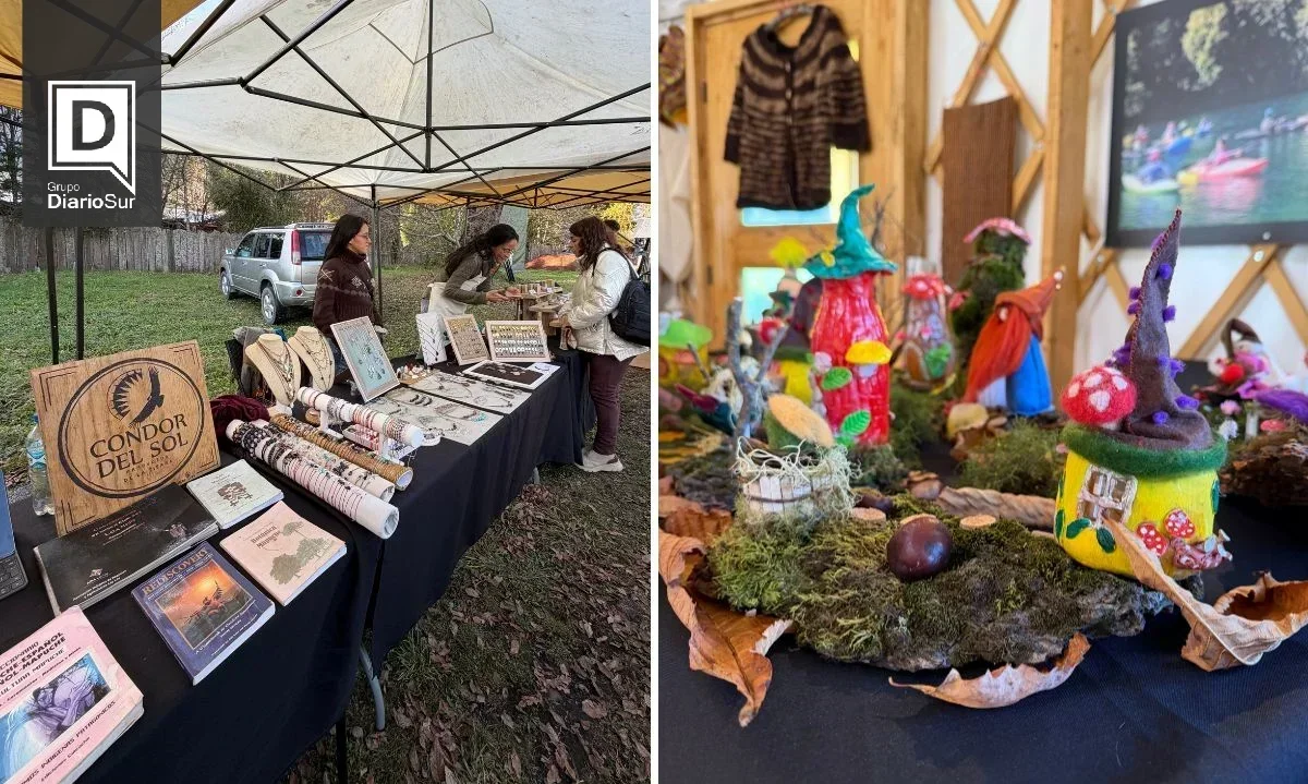 Expo Fungi: Fundación Huilo Huilo impulsa turismo de naturaleza