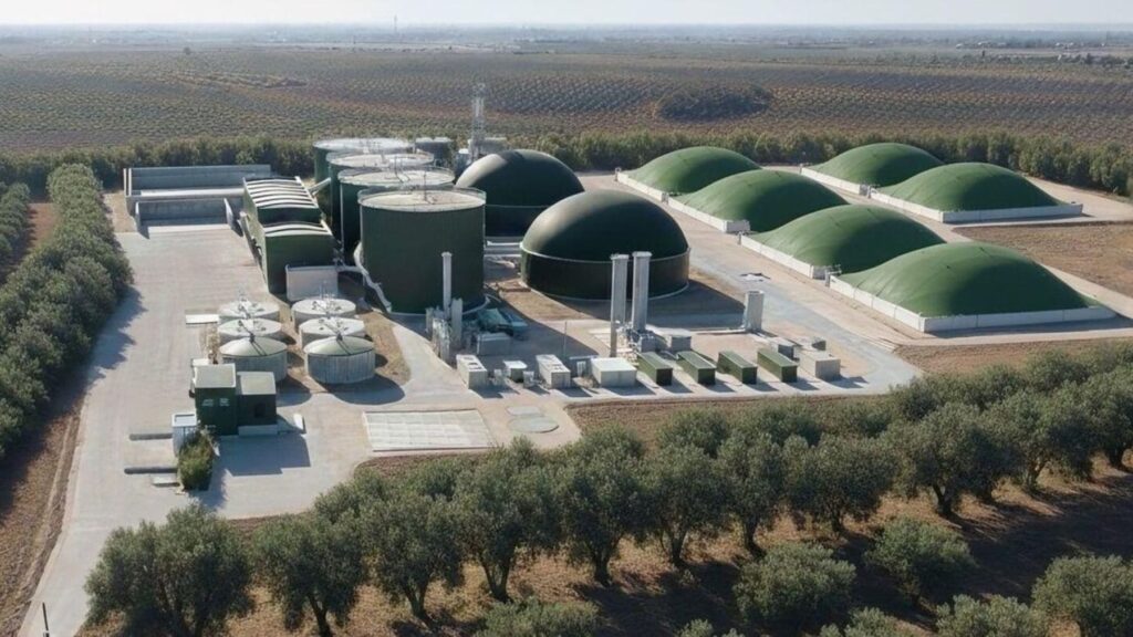 Hasta ahora se tiraban a la basura pero una inversión de 39 millones va a convertir 400.000 toneladas de residuos del olivar de Córdoba en el mayor proyecto de bioenergía agrícola de España