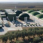 Hasta ahora se tiraban a la basura pero una inversión de 39 millones va a convertir 400.000 toneladas de residuos del olivar de Córdoba en el mayor proyecto de bioenergía agrícola de España