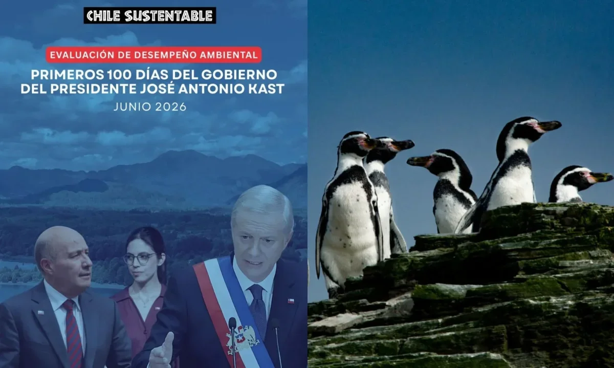 Informe sobre primeros 100 días de Gobierno advierte importantes retrocesos en materia ambiental