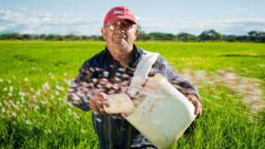 La agricultura ecológica que convence por conciencia y rentabilidad gana terreno en Andalucía