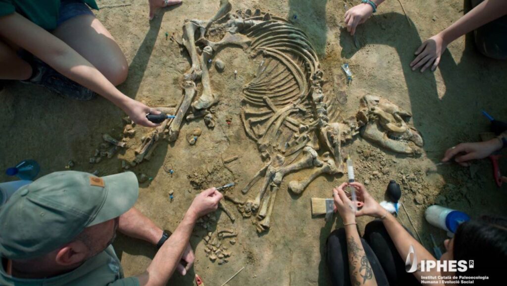 La cría de tapir que reescribe la prehistoria aparece intacta tras cuatro millones de años