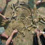 La cría de tapir que reescribe la prehistoria aparece intacta tras cuatro millones de años