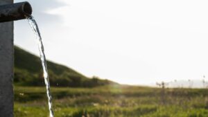 Las empresas ecológicas de Cádiz apuestan por la certificación del agua para abrirse a nuevos mercados internacionales