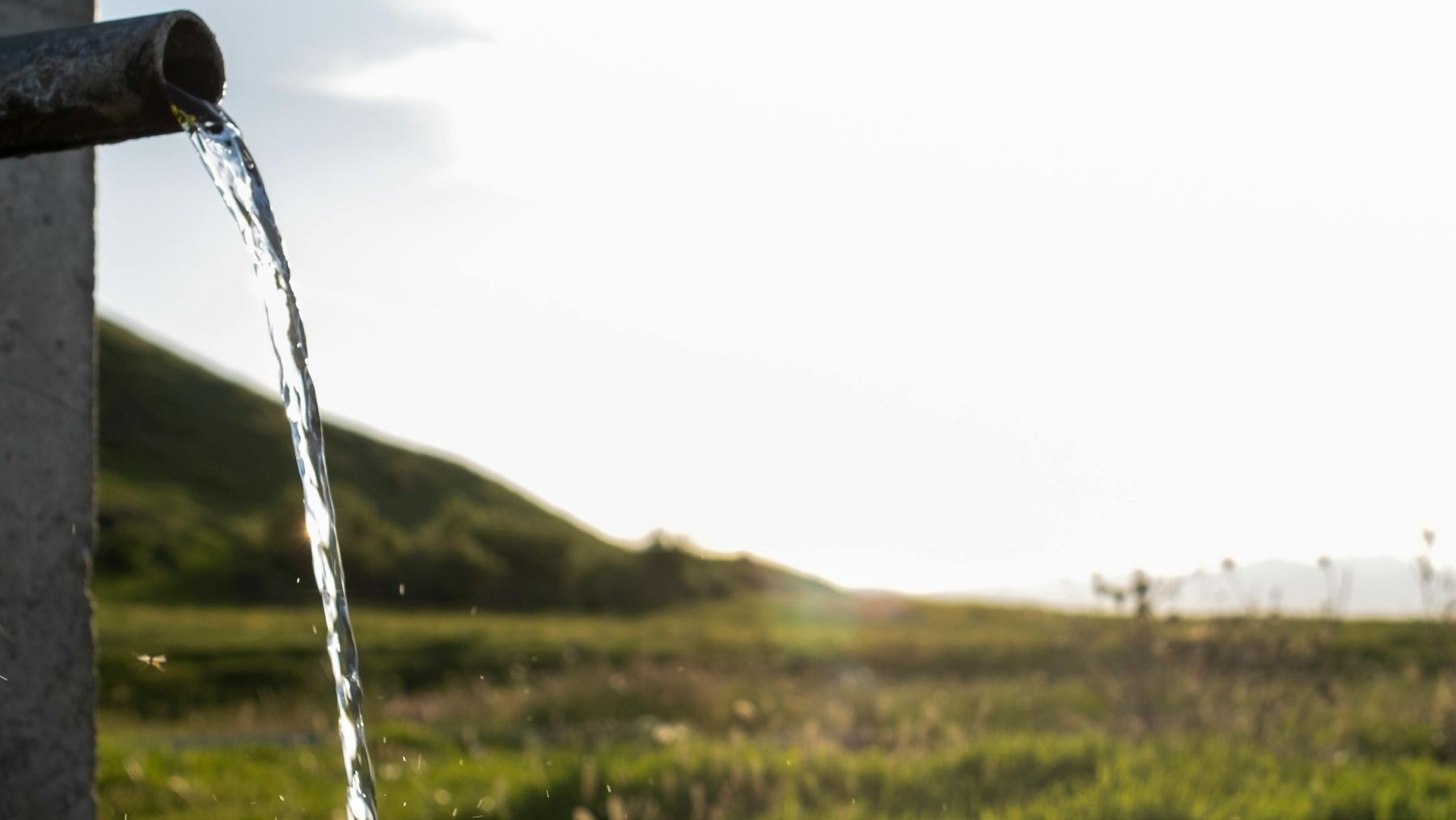Las empresas ecológicas de Cádiz apuestan por la certificación del agua para abrirse a nuevos mercados internacionales