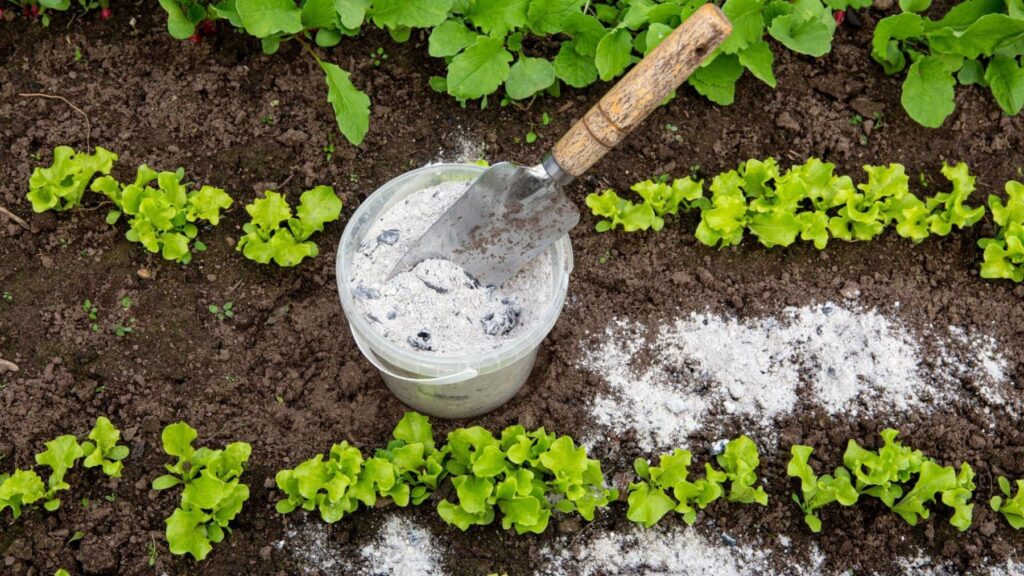 Los agricultores coinciden: las cenizas de leña que tiramos a la basura son un tesoro lleno de calcio, potasio y magnesio para las plantas