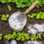 Los agricultores coinciden: las cenizas de leña que tiramos a la basura son un tesoro lleno de calcio, potasio y magnesio para las plantas