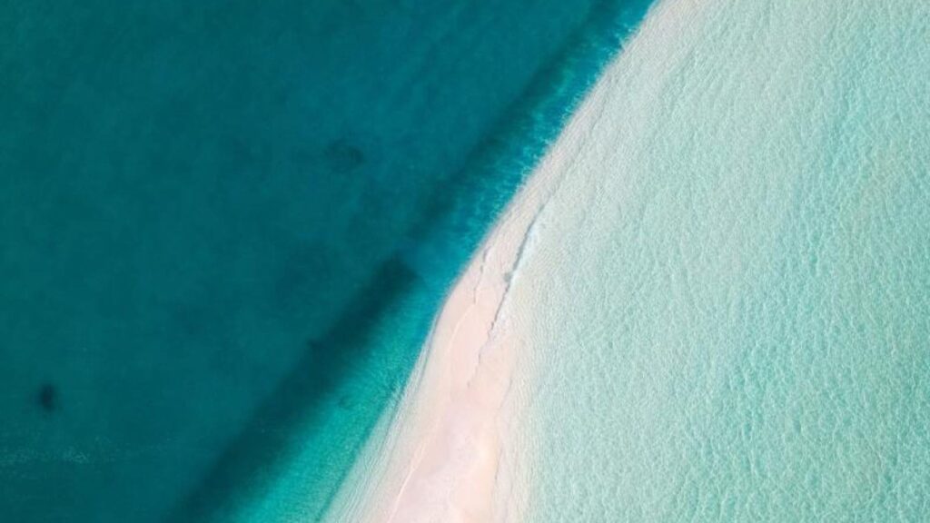 Los investigadores no salen del asombro: la primera prueba real en una playa confirma que arrojar toneladas de roca verde es la solución para capturar el CO2 del océano sin dañar a los animales