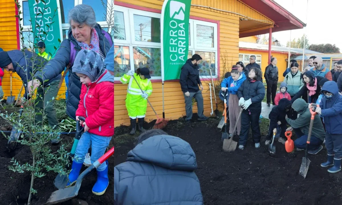 Más de 60 voluntarios se sumaron a creación de nuevo bosque Miyawaki en Osorno