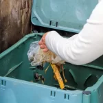 Mil familias ayseninas avanzan en compostaje domiciliario con programa regional