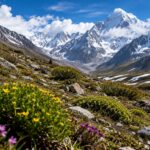 Preocupación entre los científicos: el Himalaya tiene cada vez más árboles, y eso no es la buena noticia que parece
