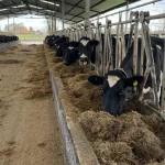 Alltech presentó su informe Agri-Food Outlook 2026: la encuesta mundial sobre la producción de alimento balanceado